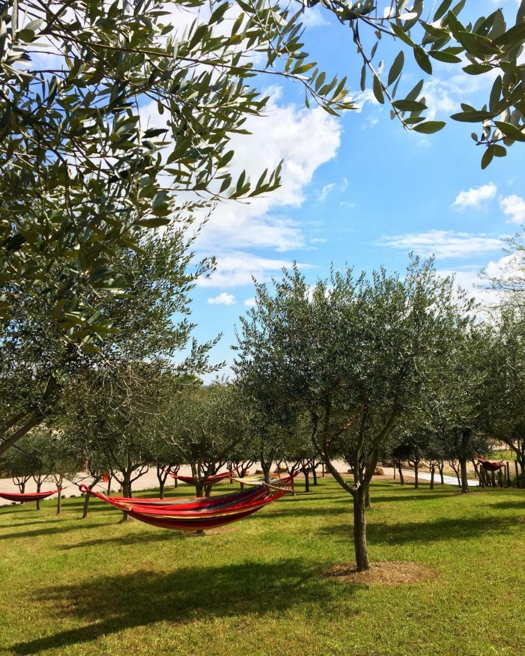 Seregner Agricamping & Homes - Adults Only 18 Campsite *